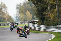 anglesey;brands-hatch;cadwell-park;croft;donington-park;enduro-digital-images;event-digital-images;eventdigitalimages;mallory;no-limits;oulton-park;peter-wileman-photography;racing-digital-images;silverstone;snetterton;trackday-digital-images;trackday-photos;vmcc-banbury-run;welsh-2-day-enduro